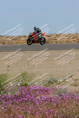 media/Mar-12-2023-SoCal Trackdays (Sun) [[d4c8249724]]/Turn 15 Inside Bloom (130pm)/